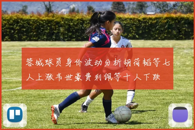 蓉城球员身价波动分析胡荷韬等七人上涨韦世豪费利佩等十人下跌