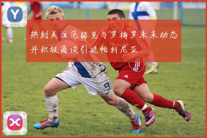 热刺关注范赫克与罗梅罗未来动态并积极商谈引进帕利尼亚